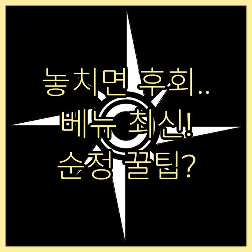 현대 베뉴 순정 내비게이션 분기별 최신 지도 갱신 방법